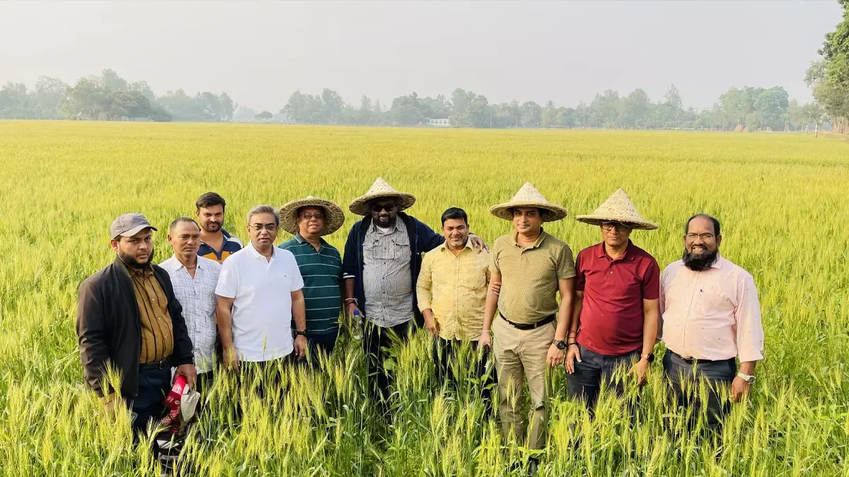 Farmers in field
