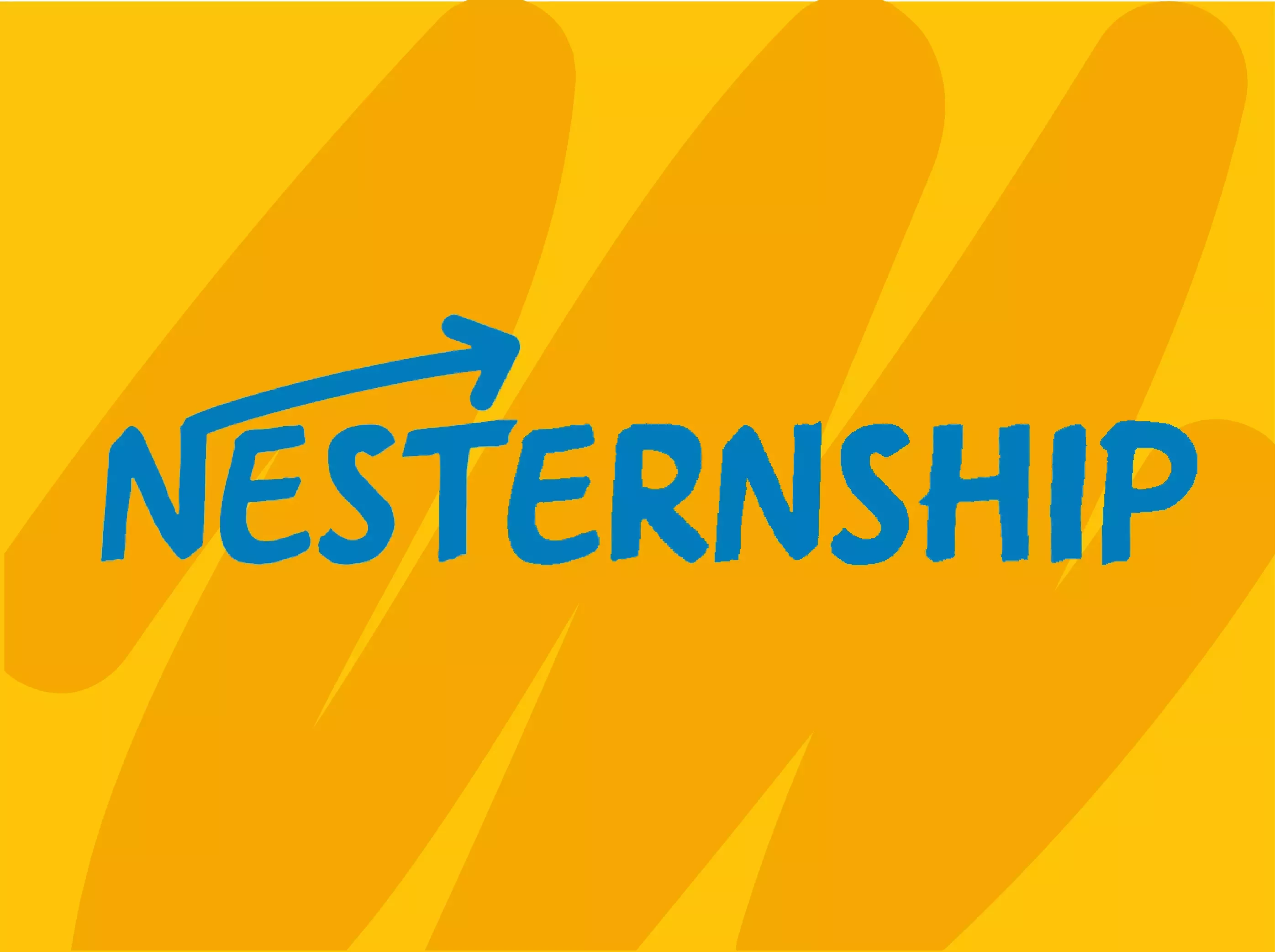 Nesternship image