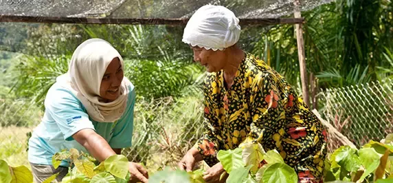 Nestlé &amp; Yayasan Sime Darby extend ‘RiLeaf’ efforts to restore Kinabatangan River